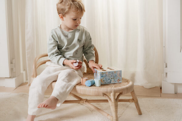 Shape Sorter - Forest Friends FSC